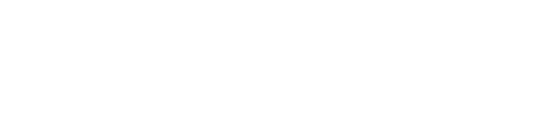 tws logo white new